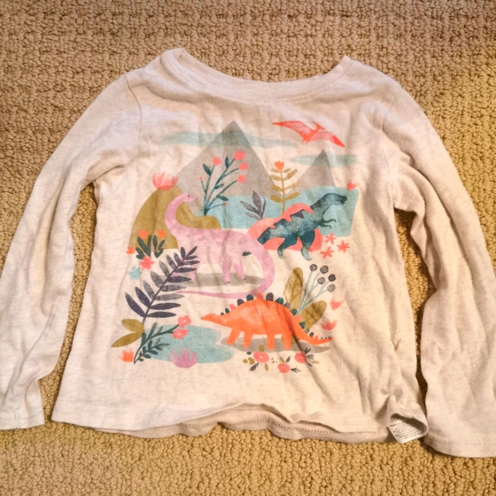 3 for $20 | Dinosaur Top